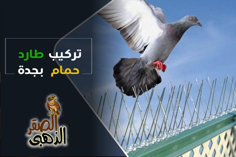 شركة تركيب طارد حمام بجدة